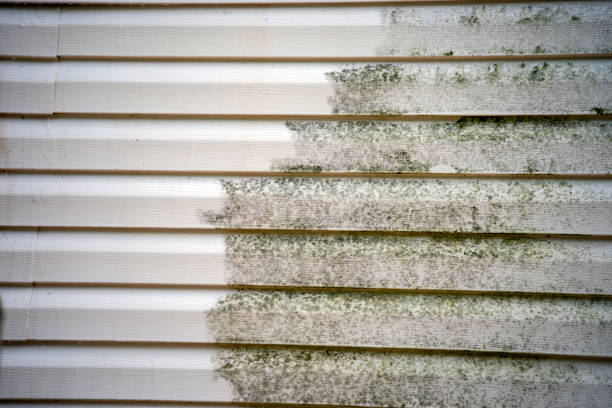 Best Mattress Disposal  in Old Brookville, NY